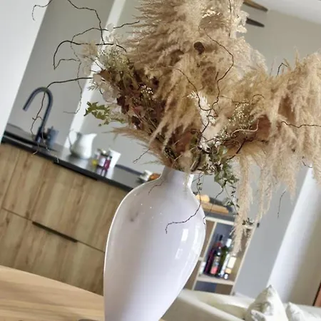Сasa de vacaciones Maison Mitoyenne Spacieuse Avec Jardin, Terrasse Et Internet - Fr-1-496-312 Saint-Symphorien-de-Lay
